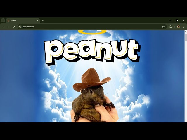 Peanut the Squirrel (PNUT) 代幣是合法的還是騙局？