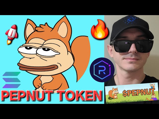 $PEPNUT - PEPNUT 토큰 암호화폐 SOLANA SOL RAYDIUM PEPE PEANUT PNUT SQUIRREL MEMECOIN 구매 방법