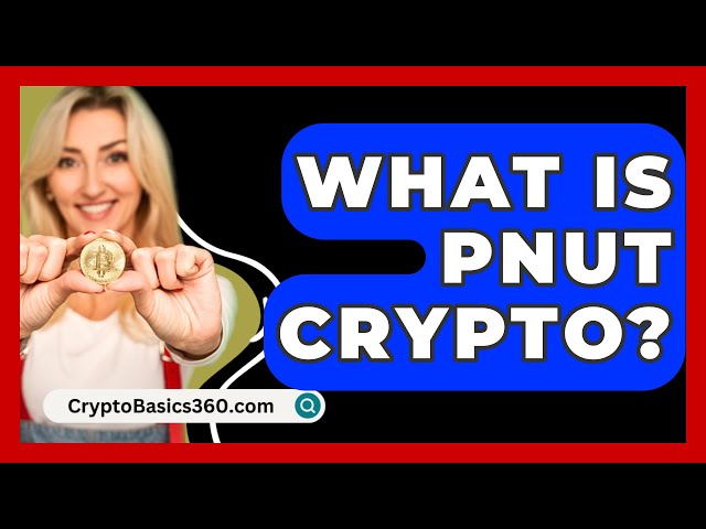 Was ist Pnut-Krypto? - CryptoBasics360.com