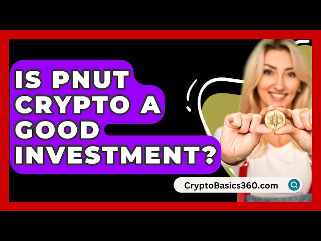 Pnut Crypto는 좋은 투자인가요? - CryptoBasics360.com