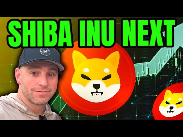 SHIBA INU COIN - 下一個值得關注的迷因幣（我在等待）