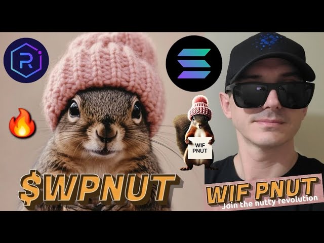 $WPNUT - WIF PNUT 토큰 암호화폐 WPNUT 구매 방법 WifPnut PEANUT SOLANA RAYDIUM MEMECOIN SQUIRREL