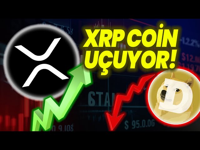 XRP 币超过了狗狗币！ XRP 正在飞翔！ XRP 反弹会继续吗？瑞波案例 XRP 新闻 XRP 分析