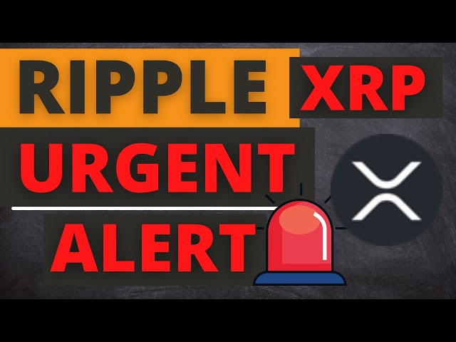 오늘의 XRP Ripple Coin 가격 뉴스 - 뉴스 가격 예측 및 기술 분석