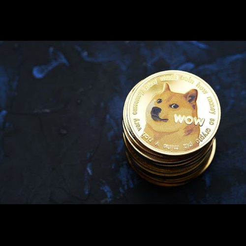 Dogecoin Lawsuit Ends After Appeal Dropped