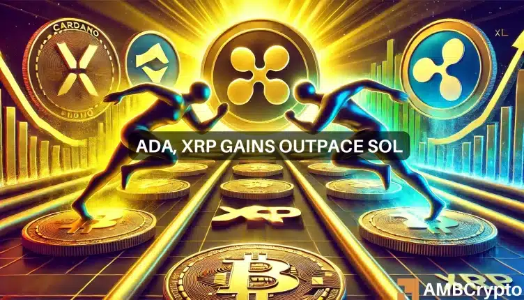 XRP, ADA – Toutes les pièces ne sont pas également appréciées