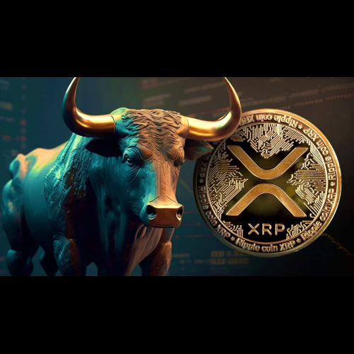 XRP Price Soars 27% as Ripple CEO Brad Garlinghouse May Have Met With Donald Trump's Transition Team