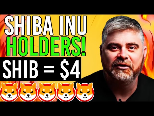 BITBOY CEO JUST CONFIRMED THIS HUGE SHIBA INU BULL RUN! - SHIB KAI