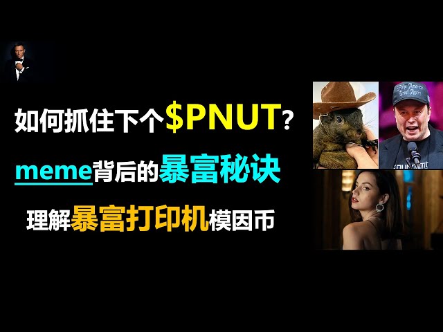 這樣做就能抓住下個PNUT？ |meme暴富背後的8個秘密？ |為何meme致富其實有跡可循？ |理解meme，抓住meme|理解幣圈致富印表機meme幣