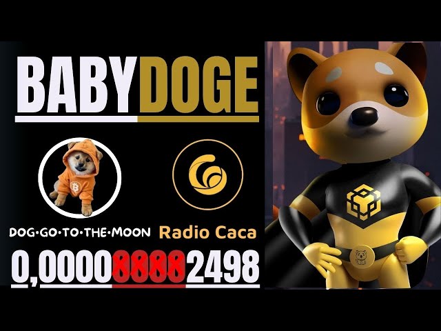 🔥DOG•GO•TO•THE•MOON // BABY DOGE COIN + RADIO CACA E MUITO MAIS🔥#doggotothemoon #dogetothemoon #shib