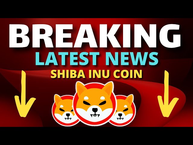 如果您只持有 100 萬個 SHIBA INU 代幣，您可以成為 1% - SHIBA INU Coin News Today