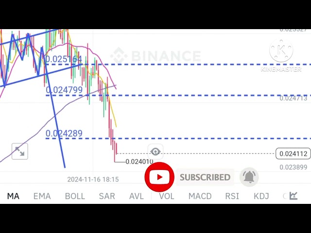 SHIB COIN 오늘의 무료 신호/바이낸스 라이브 거래/트레이딩/암호화폐 무료 신호