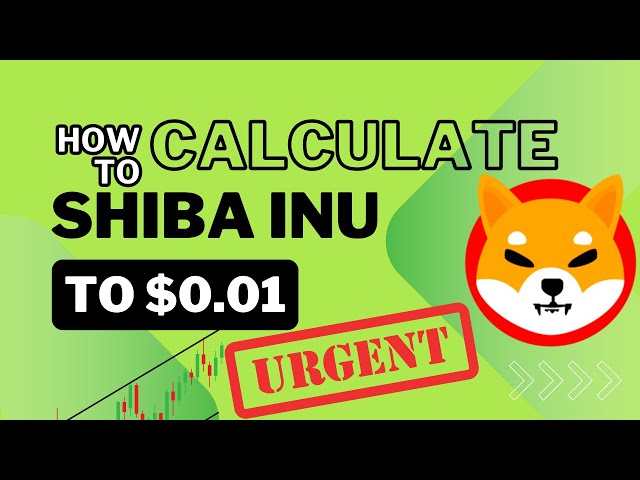 Shiba Inu 코인이 $0.01에 도달할까요? 당신이 알아야 할 놀라운 답변