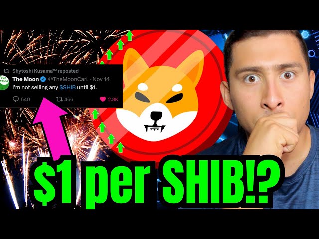 SHIBA INU auf 1 $ (NACHRICHTEN AUS DEM PLAN!)