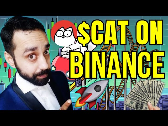 😼Simon の CAT Coin は Binance に上場されますか?今すぐ投資しましょう！