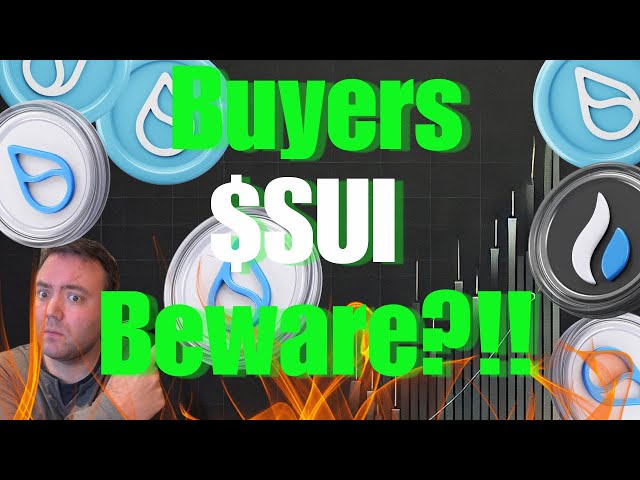 SUI 投资者请注意这一件事可能会改变一切！