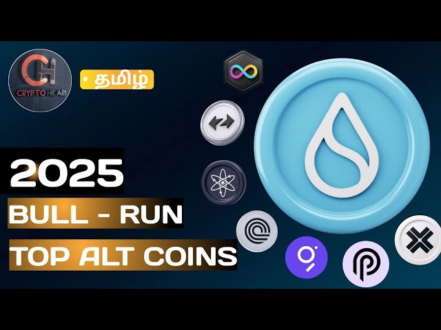 Top 11 Low value coins to buy in November 🔥 SUI 💥 Zksync 💥ICP Token Next 100X Profitable Altcoins