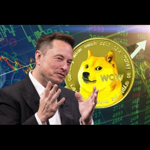 Elon Musk's New Government Agency DOGE Sends Dogecoin Price to Yearly High