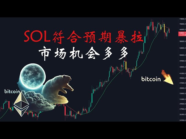 Bitcoin daily analysis: SOL surges in line with expectations; there are many market opportunities!