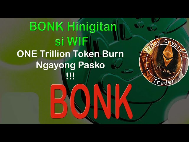 BONK 累了 WIF |今年聖誕節銷毀 1 兆代幣