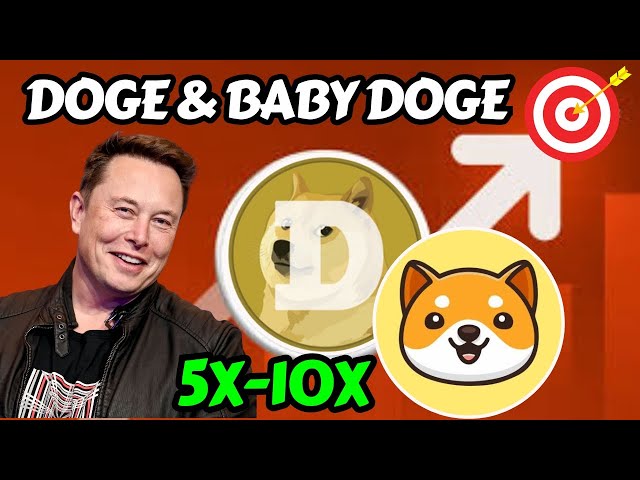 DOGE 和 BABY DOGE 硬币更新 2025 | DOGE 和 BABY DOGE 加密货币 10X？今日模因硬币新闻 |