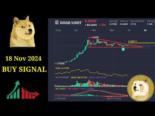 Doge Coin Kaufalarm 🚨👀 Kurzfristige Gewinne 💰 18. November 2024 #Krypto #Dogecoin