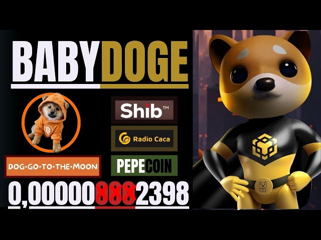 🔥DOG•GO•TO•THE•MOON // BABY DOGE COIN + SHIB，RADIO CACA E MT MAIS🔥 #doggotothemoon #babydogecoin