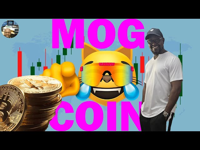 Mog Coin Price Update With a Simple Calculation