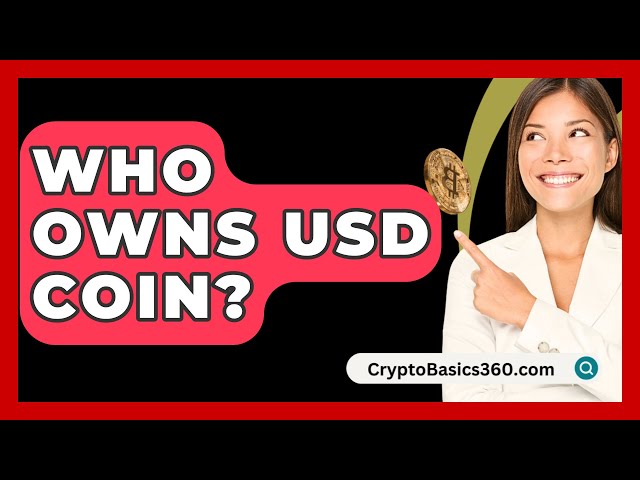 谁拥有美元硬币？ - CryptoBasics360.com