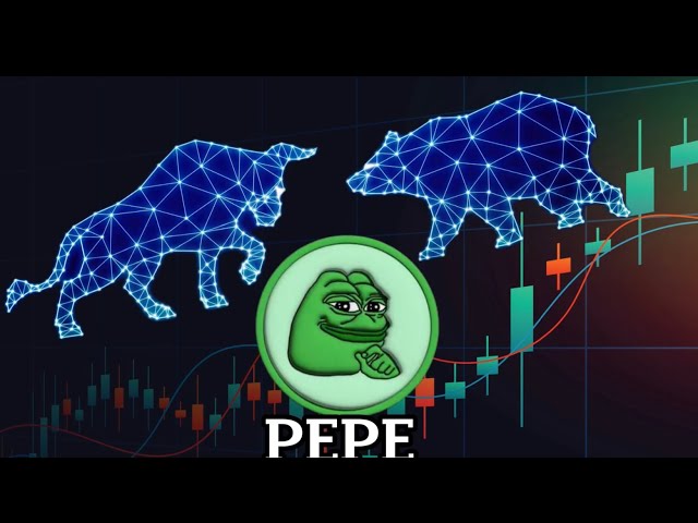 Neuestes Update von Pepe Coin: Immer noch Potenzial oder hat es nachgelassen?