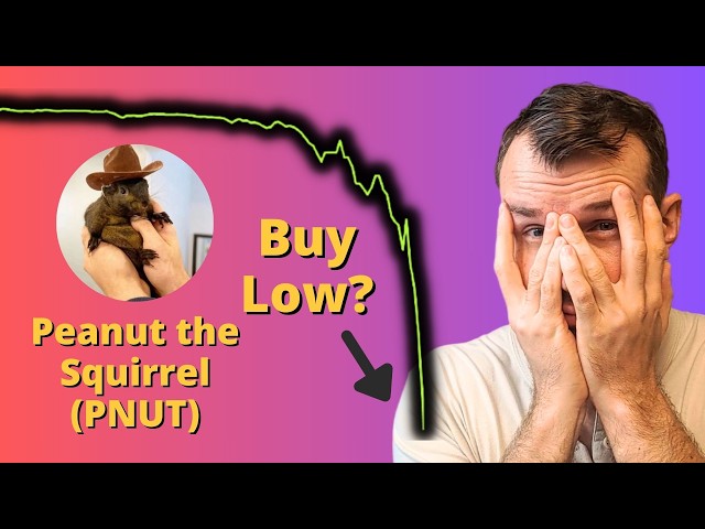 Will PNUT Climb Again? 🤔 Peanut the Squirrel Crypto Token Analysis