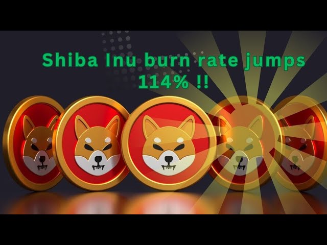 Le taux de combustion du Shiba Inu grimpe de 114 % !!! #shibinu