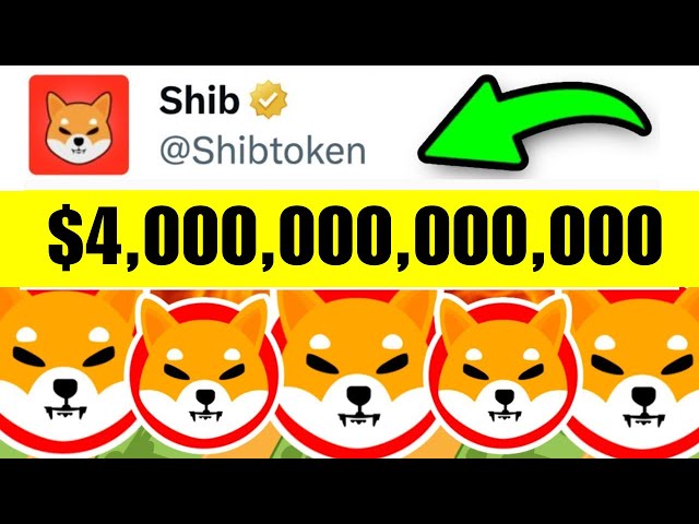 SHIBA INU COIN NEWS HEUTE: 4.000.000.000.000 US-Dollar riskieren, die USA zu Millionären zu machen! (ERNSTLICH!) - SHIBA INU