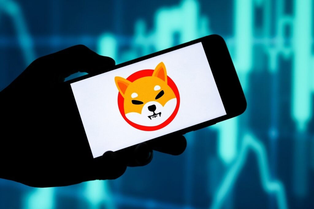 Sondage Benzinga : la pièce Shiba Inu peut-elle atteindre 1 centime d'ici la fin de 2025 ?