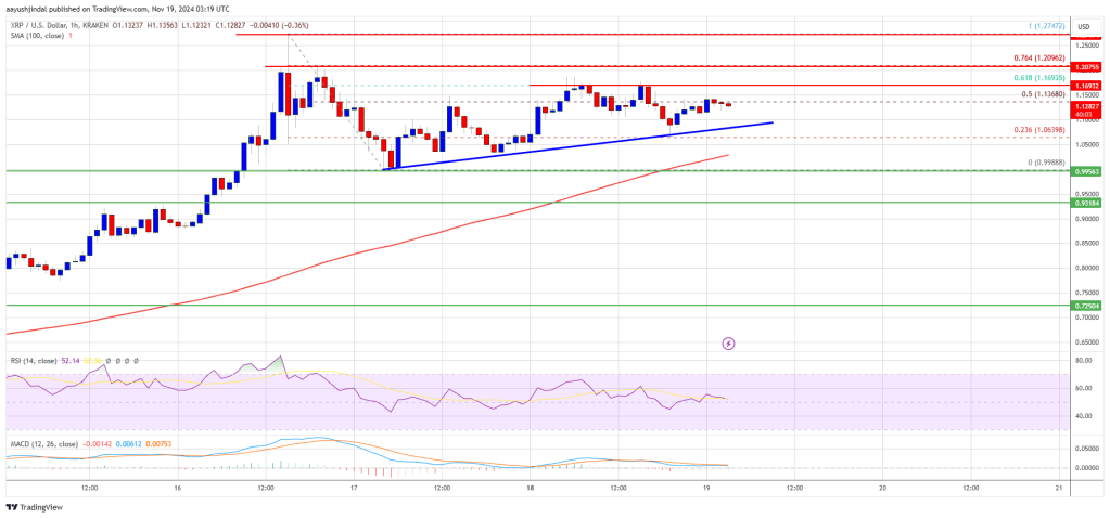 XRP 价格保持坚挺，有望进一步上涨