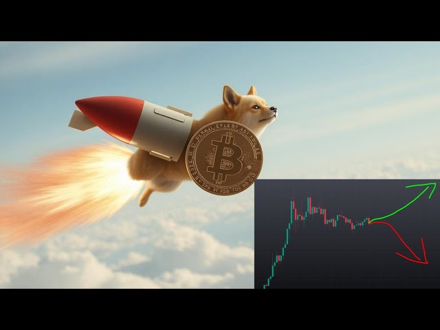 Dogecoin, Bitcoin, où aller ensuite ?