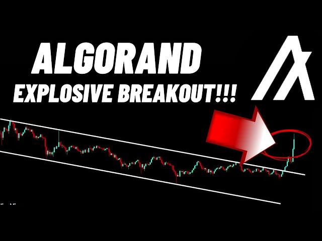 Évasion explosive de la pièce cryptographique Algorand (ALGO)