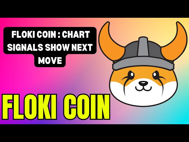 FLOKI COIN CHART UPDATE: WHAT’S NEXT FOR PRICE ACTION?! FLOKI COIN PRICE NEWS: LATEST DEVELOPMENTS !