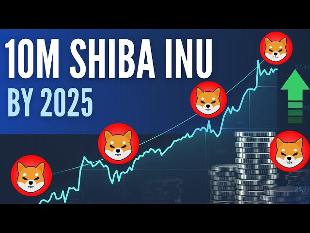 Wie viel wird eine 10-Millionen-Shiba-Inu-Münze bis 2025 wert sein?