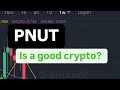 PNUT 硬幣下一步 | PNUT 加密貨幣價格預測 | PNUT COIN 價格分析 PNUT COIN 好不好？