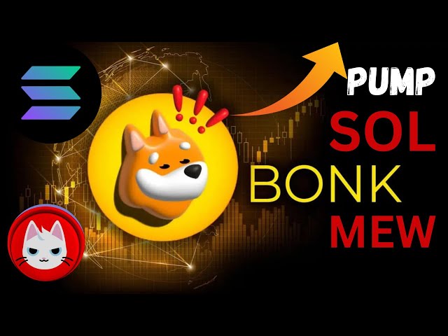 SOL | BONK | MEW | PROFIT AND LOSS | BONK 1rs PRICE | MEW 100rs | SOL 10K | GENUINE OVER VIEW