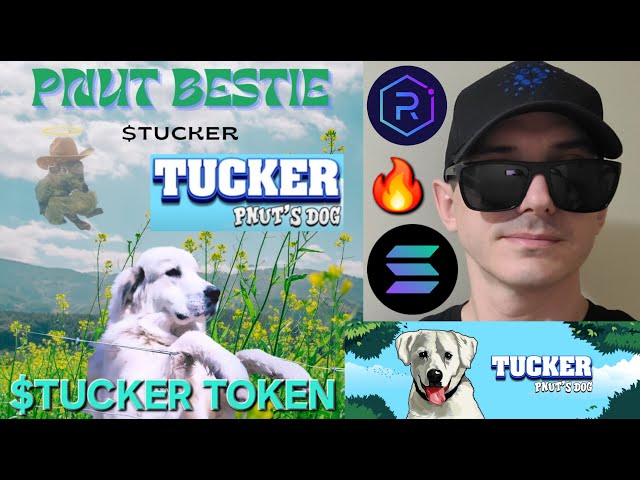 $TUCKER - PNUT'S DOG TOKEN CRYPTO COIN COMMENT ACHETER TUCKER PNUT MEMECOIN SOLANA RAYDIUM PEANUT DOGE