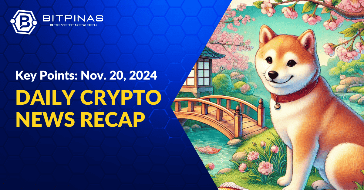 Dogecoin Price Rising | Key Points | Nov. 20, 2024