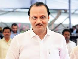 Maharashtra Assembly Election 2024 Voting Begins: Ajit Pawar Displays Inked Finger After Casting Vote