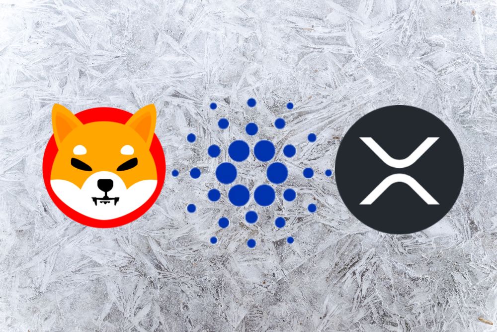 Shiba Inu (SHIB) 不再是 Memecoin，旨在與 XRP 和 Cardano (ADA) 競爭