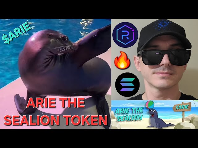 $ARIE – ARIE THE SEALION TOKEN CRYPTO COIN SO KAUFEN SIE SOLANA MEMECOIN SOL RAYDIUM JUPITER BLOCKCHAIN