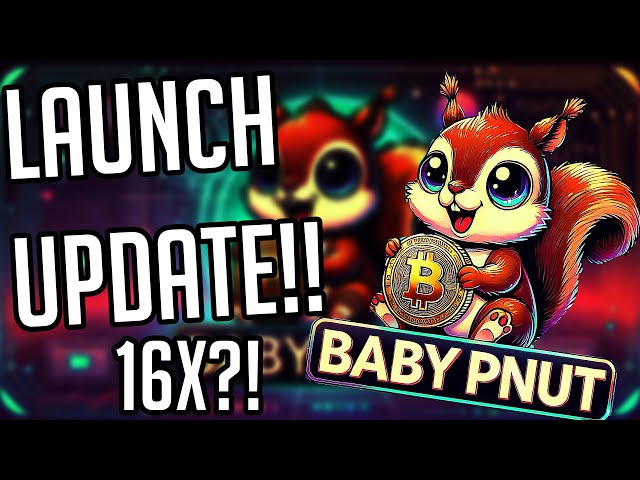 BABY PNUT 代幣更新 | 16X？下一個大模因登月計劃？