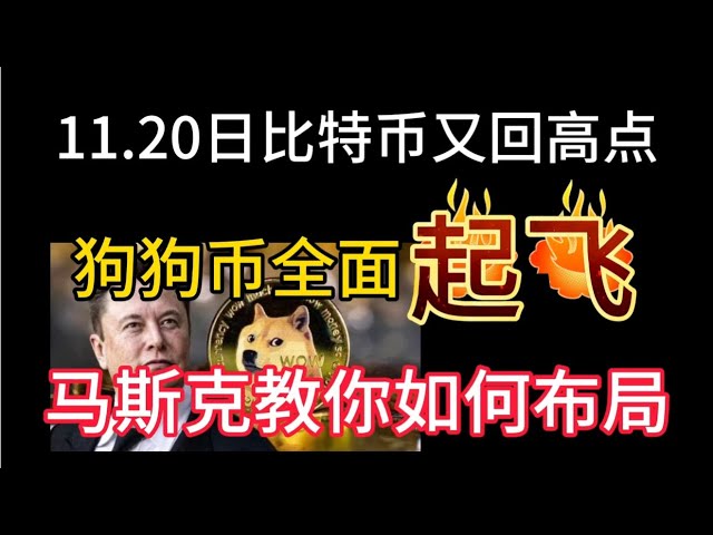 Bitcoin a de nouveau dépassé son point culminant le 20 novembre ! Dogecoin décolle également en force ! Comment pouvons-nous disposer de bonnes pièces ?