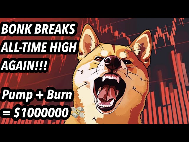 봉크가 또다시 무너졌습니다!!! 지금 당장 BONK HODLERS…