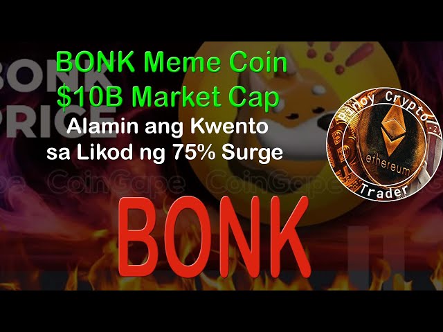 BONK Meme Coin $10B 市值 - 这是真的吗？了解 75% 激增背后的故事